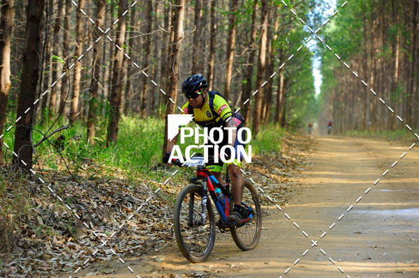 Buy your photos of the event16 Edio Maratona 100Km Canaviais on Fotop