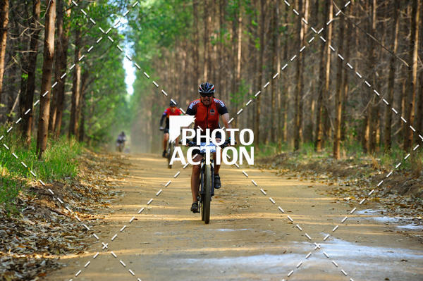 Buy your photos of the event16 Edio Maratona 100Km Canaviais on Fotop