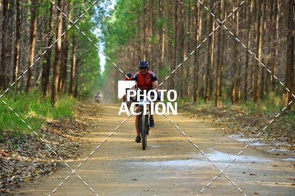 Buy your photos of the event16 Edio Maratona 100Km Canaviais on Fotop