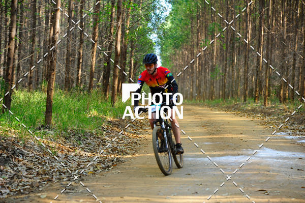 Buy your photos of the event16 Edio Maratona 100Km Canaviais on Fotop