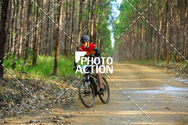Buy your photos of the event16 Edio Maratona 100Km Canaviais on Fotop