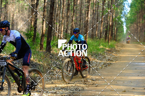 Buy your photos of the event16 Edio Maratona 100Km Canaviais on Fotop