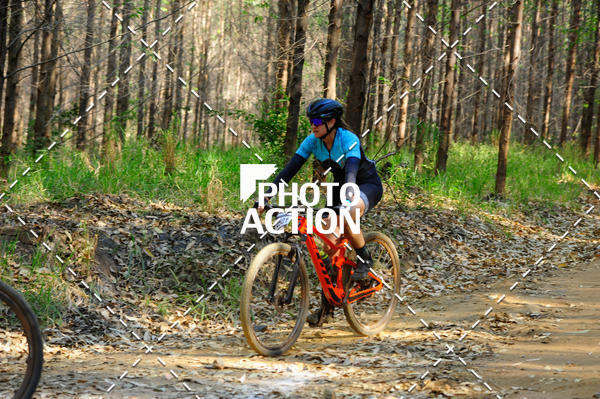 Buy your photos of the event16 Edio Maratona 100Km Canaviais on Fotop