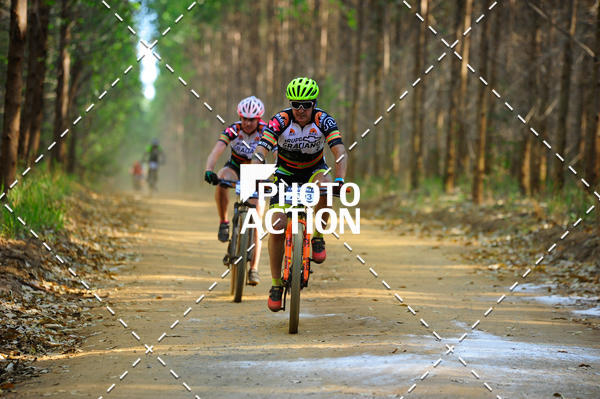 Buy your photos of the event16 Edio Maratona 100Km Canaviais on Fotop