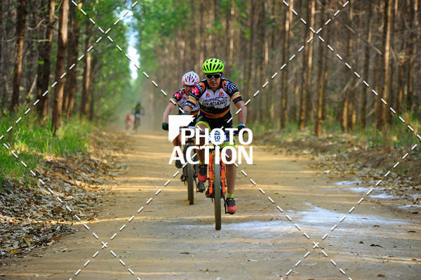 Buy your photos of the event16 Edio Maratona 100Km Canaviais on Fotop