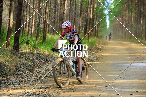 Buy your photos of the event16 Edio Maratona 100Km Canaviais on Fotop