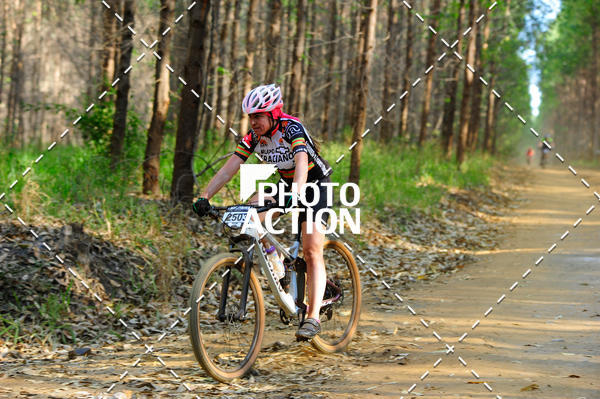 Buy your photos of the event16 Edio Maratona 100Km Canaviais on Fotop