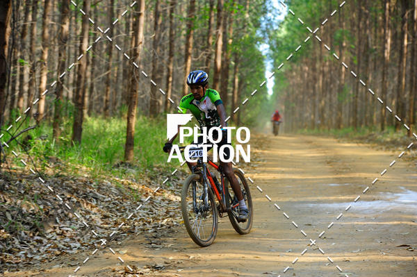 Buy your photos of the event16 Edio Maratona 100Km Canaviais on Fotop