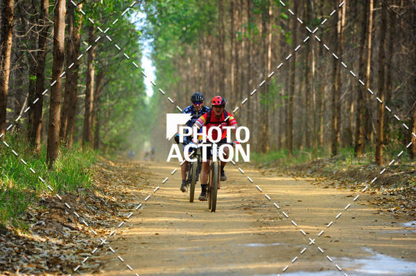 Buy your photos of the event16 Edio Maratona 100Km Canaviais on Fotop