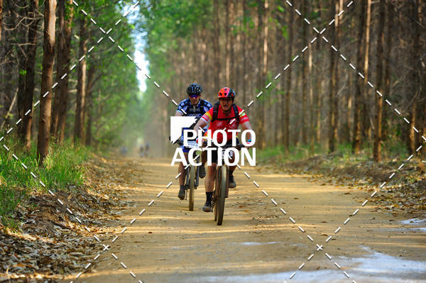 Buy your photos of the event16 Edio Maratona 100Km Canaviais on Fotop