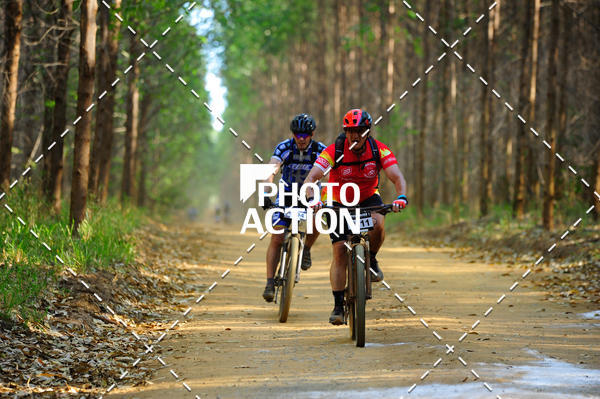Buy your photos of the event16 Edio Maratona 100Km Canaviais on Fotop