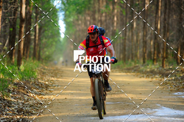 Buy your photos of the event16 Edio Maratona 100Km Canaviais on Fotop