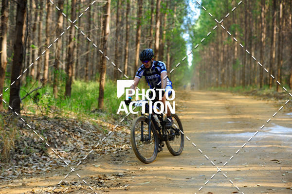 Buy your photos of the event16 Edio Maratona 100Km Canaviais on Fotop