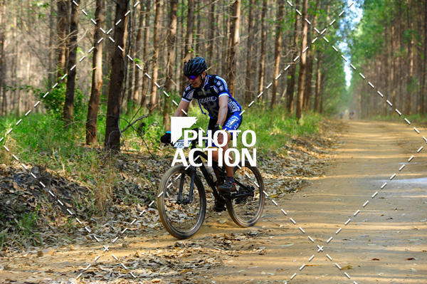 Buy your photos of the event16 Edio Maratona 100Km Canaviais on Fotop