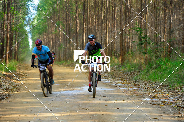 Buy your photos of the event16 Edio Maratona 100Km Canaviais on Fotop