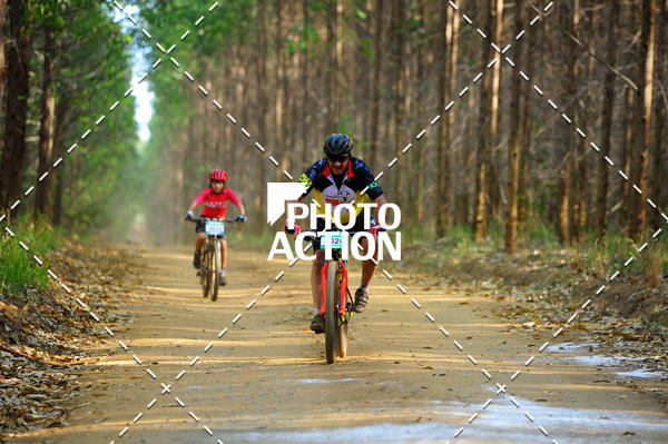 Buy your photos of the event16 Edio Maratona 100Km Canaviais on Fotop