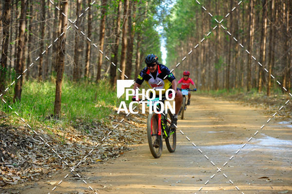 Buy your photos of the event16 Edio Maratona 100Km Canaviais on Fotop