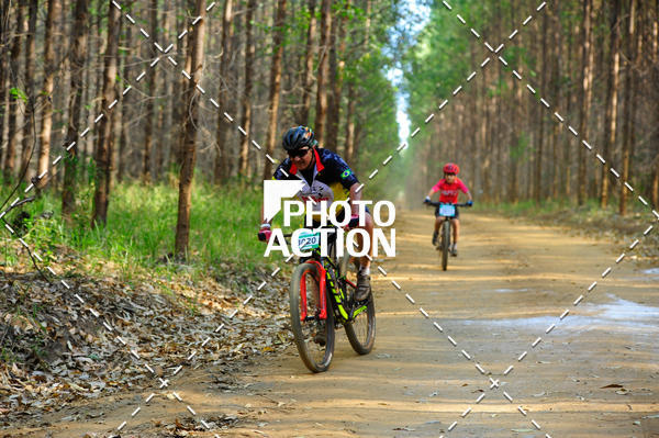Buy your photos of the event16 Edio Maratona 100Km Canaviais on Fotop
