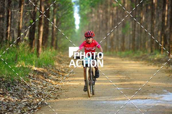 Buy your photos of the event16 Edio Maratona 100Km Canaviais on Fotop