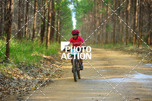 Buy your photos of the event16 Edio Maratona 100Km Canaviais on Fotop