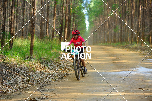 Buy your photos of the event16 Edio Maratona 100Km Canaviais on Fotop