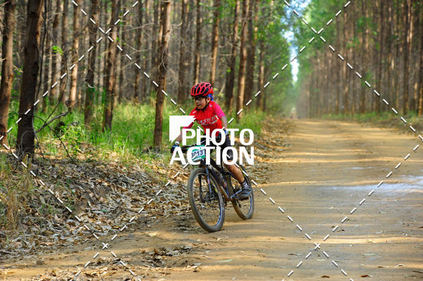 Buy your photos of the event16 Edio Maratona 100Km Canaviais on Fotop