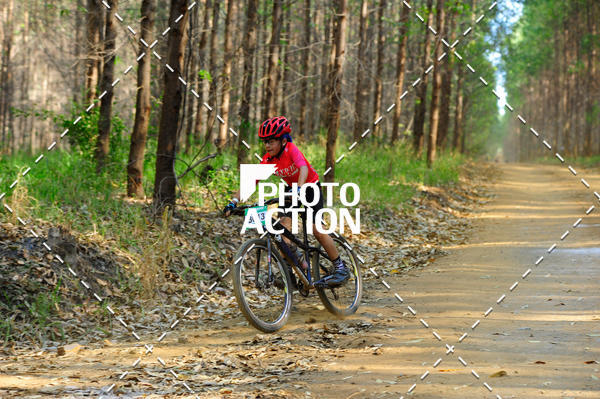Buy your photos of the event16 Edio Maratona 100Km Canaviais on Fotop