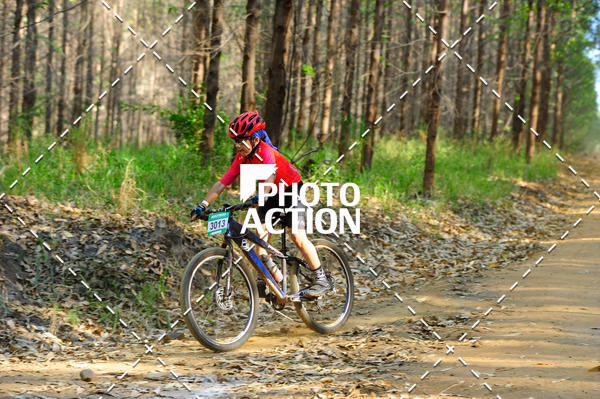 Buy your photos of the event16 Edio Maratona 100Km Canaviais on Fotop