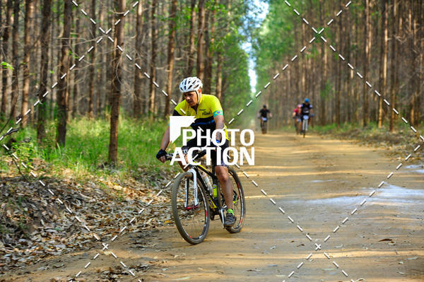 Buy your photos of the event16 Edio Maratona 100Km Canaviais on Fotop