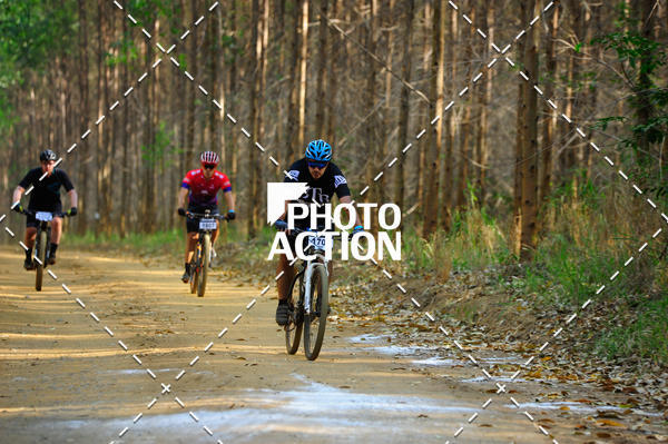 Buy your photos of the event16 Edio Maratona 100Km Canaviais on Fotop