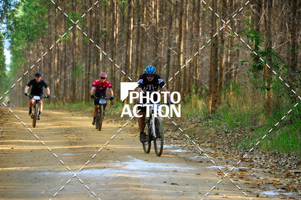 Buy your photos of the event16 Edio Maratona 100Km Canaviais on Fotop