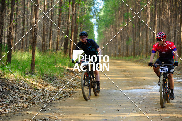 Buy your photos of the event16 Edio Maratona 100Km Canaviais on Fotop