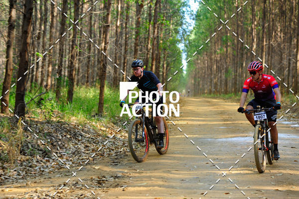 Buy your photos of the event16 Edio Maratona 100Km Canaviais on Fotop