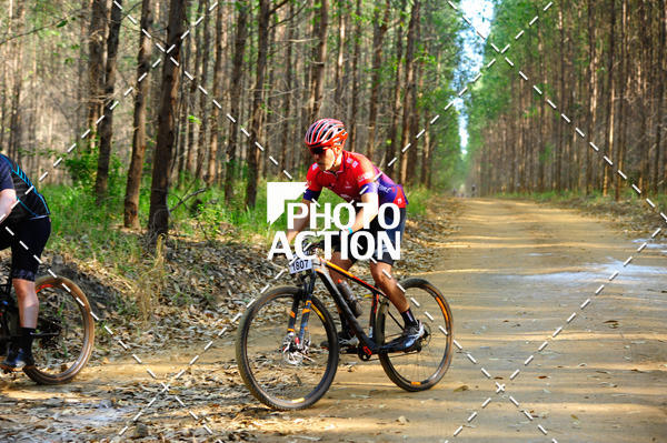 Buy your photos of the event16 Edio Maratona 100Km Canaviais on Fotop