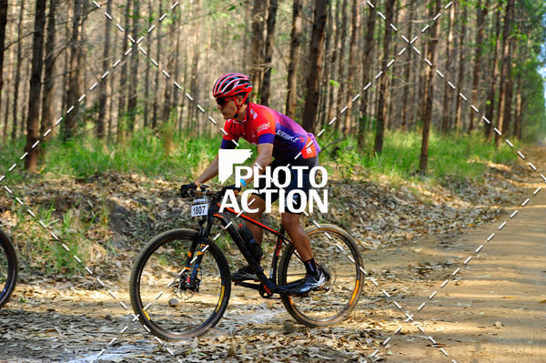 Buy your photos of the event16 Edio Maratona 100Km Canaviais on Fotop