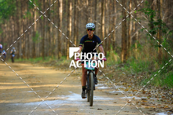 Buy your photos of the event16 Edio Maratona 100Km Canaviais on Fotop