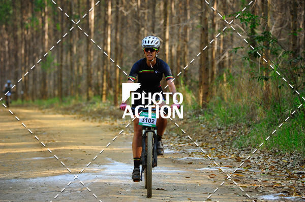 Buy your photos of the event16 Edio Maratona 100Km Canaviais on Fotop
