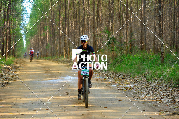 Buy your photos of the event16 Edio Maratona 100Km Canaviais on Fotop