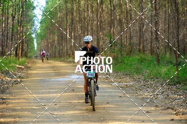 Buy your photos of the event16 Edio Maratona 100Km Canaviais on Fotop
