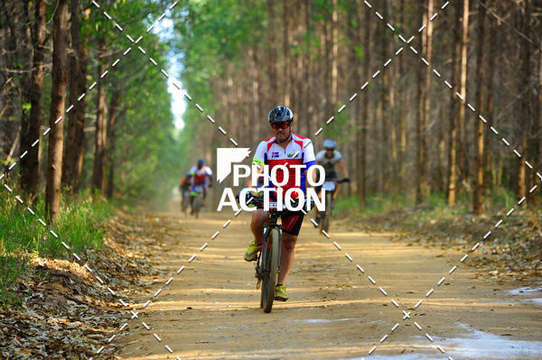 Buy your photos of the event16 Edio Maratona 100Km Canaviais on Fotop