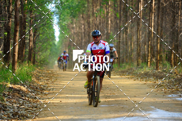 Buy your photos of the event16 Edio Maratona 100Km Canaviais on Fotop