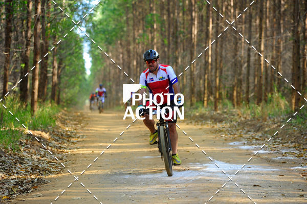 Buy your photos of the event16 Edio Maratona 100Km Canaviais on Fotop
