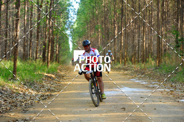 Buy your photos of the event16 Edio Maratona 100Km Canaviais on Fotop