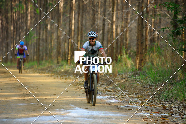 Buy your photos of the event16 Edio Maratona 100Km Canaviais on Fotop