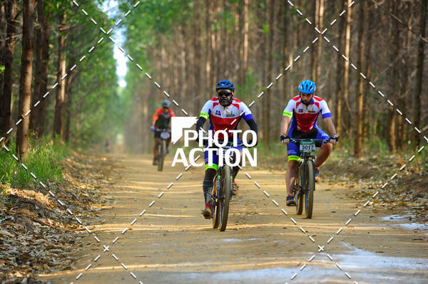 Buy your photos of the event16 Edio Maratona 100Km Canaviais on Fotop