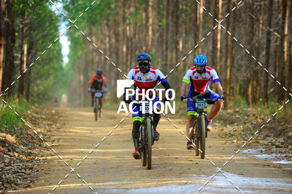 Buy your photos of the event16 Edio Maratona 100Km Canaviais on Fotop