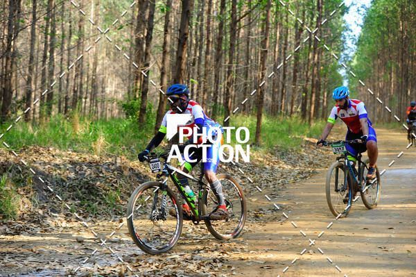 Buy your photos of the event16 Edio Maratona 100Km Canaviais on Fotop