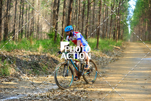 Buy your photos of the event16 Edio Maratona 100Km Canaviais on Fotop