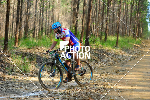 Buy your photos of the event16 Edio Maratona 100Km Canaviais on Fotop