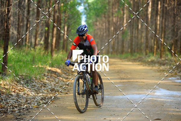 Buy your photos of the event16 Edio Maratona 100Km Canaviais on Fotop